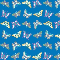 ButterflyPattern1h