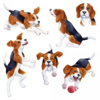 BeaglePosesrev_web