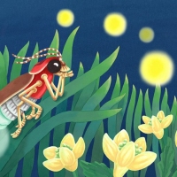 FireflyCricketpp4-5_1000