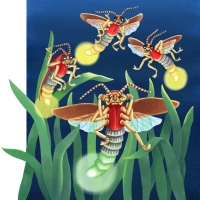 FireflyCricketpp6-7_1000