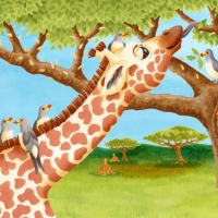 Oxpeckers_pp14-15web