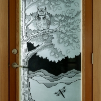 Owl & Dragonfly