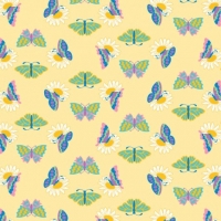 ButterflyPattern3Hc