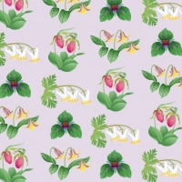 WildflowerPatternBc